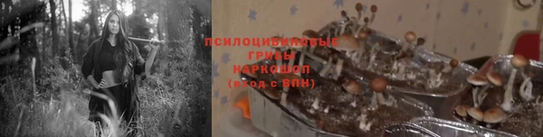 твердый Касимов